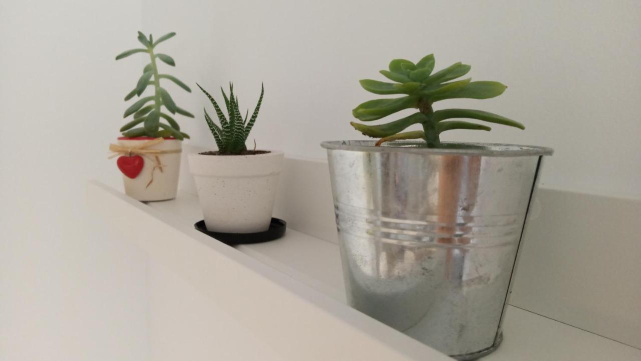 Apartment Apartamento Cactus *